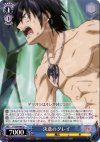 FT/S09-086 U 決意のグレイ