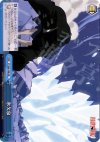 FT/S09-098 CR 氷欠泉