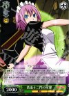 FT/SE10-20Vir C 黄道十二門の星霊