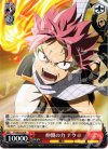 FT/SE10-28 R 仲間の力 ナツ
