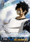 FT/SE10-41 C 氷の城壁 グレイ
