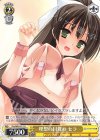 Fkz/W65-011 U 理想の目覚め セラ