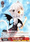  Fdd/W65-056 U 無口な白猫 小猫 