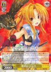  Foy/W120-008 R 婚前旅行 信奈 