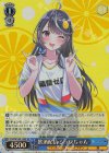  Fvd/W120-120S SR 飲酒配信 シュワちゃん 