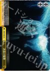 FZ/S17-028 CR 決意の象徴