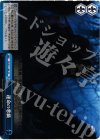 FZ/S17-100 CC 運命の悪戯