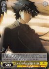 FZ/SE13-05 S-C アインツベルンの切り札 桐嗣(ホロ)