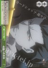 FZ/SE13-19 CC 必滅の黄薔薇