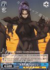 FZ/SE13-26 C “妄想幻像”アサシン 