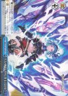 GBF/S134-T15 TD 十天の極みに至りし者 主人公(女)