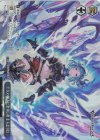 GBF/S134-T15S TDP 十天の極みに至りし者 主人公(女)