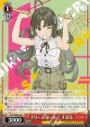 GCR/SE48-22 N ドリームガール？ すばる
