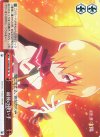 GT/W29-T07 TD 最後の使い手