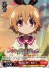 GT/W29-054 R 朝日に輝く あかり