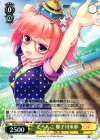  GF/W33-029 C どろんこ 螺子川来夢 