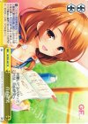 GF/W33-047 CR 自由研究