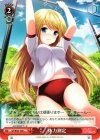 GF/W33-105 C 体力測定