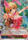 GF/W33-053SSP SSP 兎を狙う兎 望月エレナ(サイン入り)