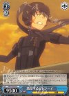 GGO/S59-093 C 激昂するピトフーイ