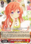 GU/WE46-34 N 宝物は君の決定的瞬間 モカ