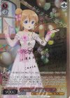 GU/WE46-35SP SP Anniversary Rabbit ココア(サイン入り)