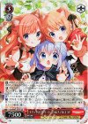 GU/W94-037S SR トリックオアトリート モカ&チノ&ココア