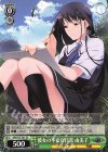 GRI/S72-T01 TD 彼女の不安な日常 由美子