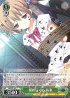 GRI/S72-041 C 削れ行く心 蒔菜