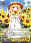  GRI/S84-003 RR 迷宮に咲く花 みちる 