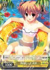  GRI/S84-004 R 南国ビーチ 蒔菜 