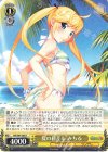  GRI/S84-005 R 夏の日差し みちる 