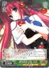  GRI/S84-037 RR 迷宮に咲く花 天音 