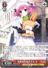 GRI/S84-067 RR 楽園を目指す少女 幸