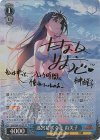  GRI/S84-101SP SP 迷宮に咲く花 由美子(サイン入り) 