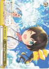  HOL/W91-032 CC Summer memory 