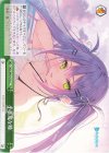  HOL/W91-073 CC 小悪魔な瞳 
