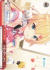  HOL/W91-111 CC 先輩へ愛をこめて 