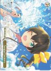  HOL/W91-146 PR Summer memory 