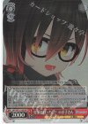 HOL/W91-100S SR 対策はばっちり！ ロボ子さん