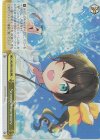  HOL/W91-032R RRR Summer memory 
