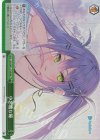 HOL/W91-073R RRR 小悪魔な瞳