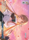  HOL/W104-160 PR 黄昏の丘で 