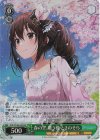 HOL/W104-043S SR 春の空、舞う桜 ときのそら