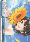HOL/W91-T055 TD 向日葵の君に