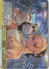 HOL/W91-T081R RRR 雪の降る街で