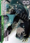  IM/S07-049 CC Next Life 