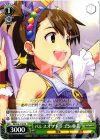 IM/S14-119 PR パレスオブドラゴン 亜美