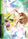  IM/S14-048 CR 魔法をかけて! 