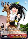  IM/S14-063 C ペット大捜索! 響 